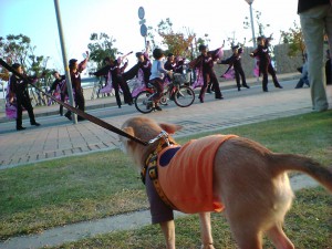 よさこい